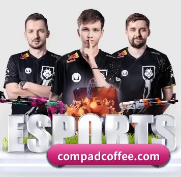 未来布局